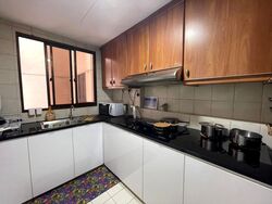 The Mayfair (D22), Condominium #459696781